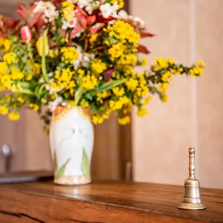 Bellevue 2* רוקמאדור